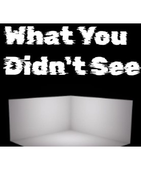 What You Didn t See Steam Key GLOBAL